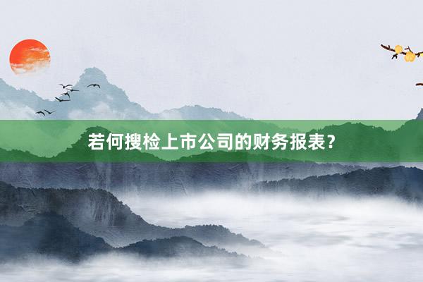 若何搜检上市公司的财务报表？